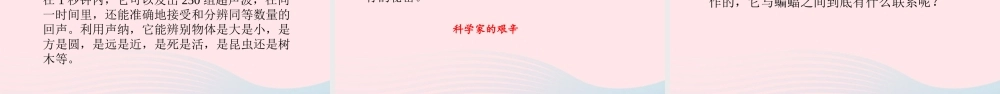 四年级语文上册 第二单元 6蝙蝠和雷达课件 新人教版-新人教级上册语文课件