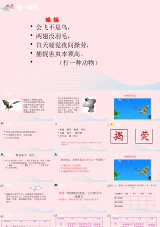 四年级语文上册 第二单元 6蝙蝠和雷达课件 新人教版-新人教级上册语文课件