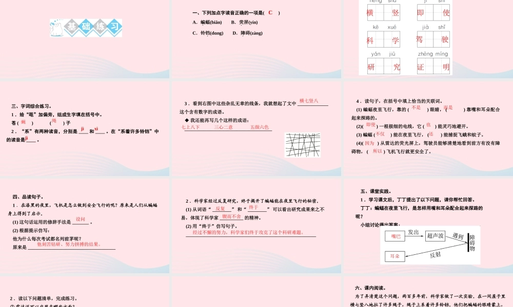 四年级语文上册 第二单元 6夜间飞行的秘密作业课件 新人教版-新人教版小学四年级上册语文课件