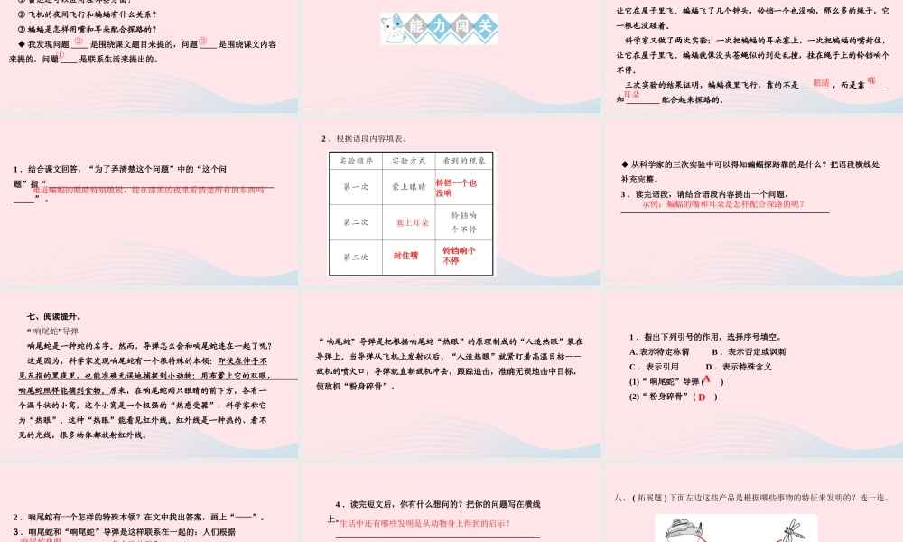 四年级语文上册 第二单元 6夜间飞行的秘密作业课件 新人教版-新人教版小学四年级上册语文课件