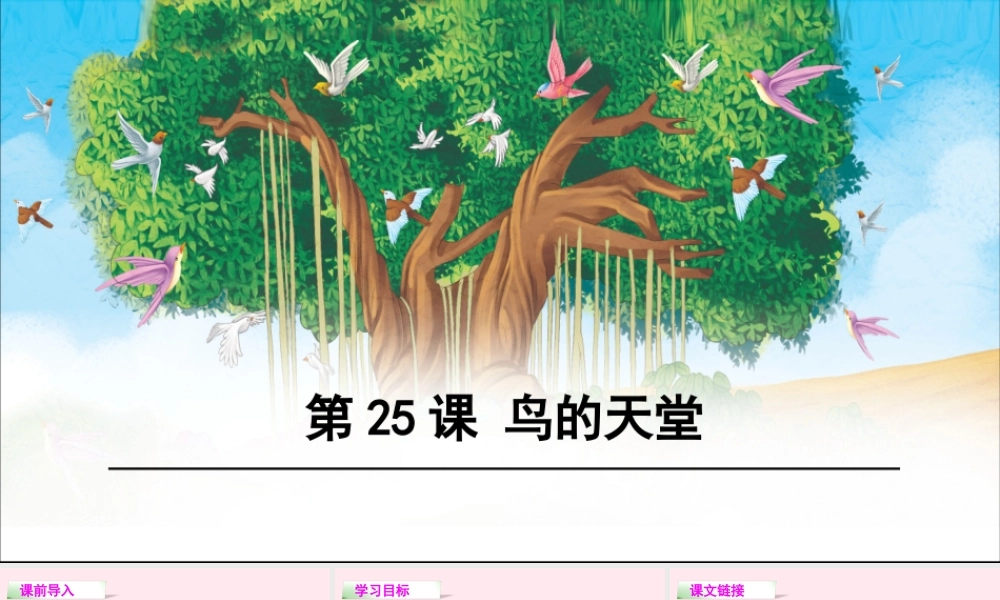四年级语文下册 第七单元 25 鸟的天堂课件 语文S版-语文S版小学四年级下册语文课件