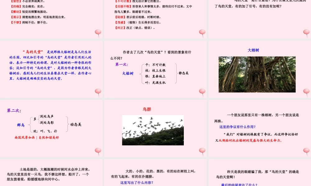 四年级语文下册 第七单元 25 鸟的天堂课件 语文S版-语文S版小学四年级下册语文课件