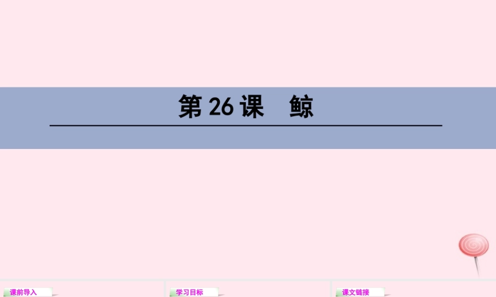 四年级语文下册 第七单元 26 鲸课件 语文S版-语文S版小学四年级下册语文课件