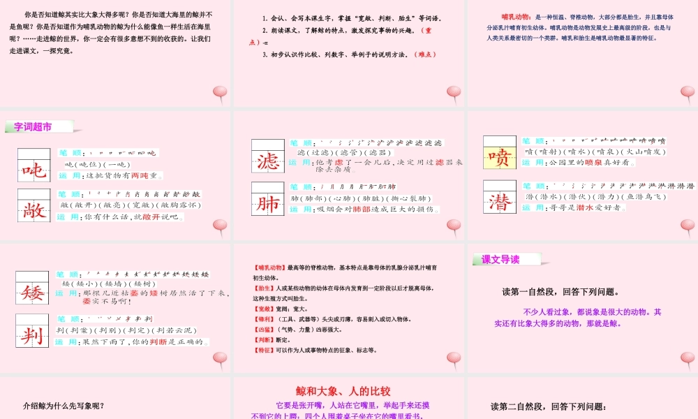 四年级语文下册 第七单元 26 鲸课件 语文S版-语文S版小学四年级下册语文课件