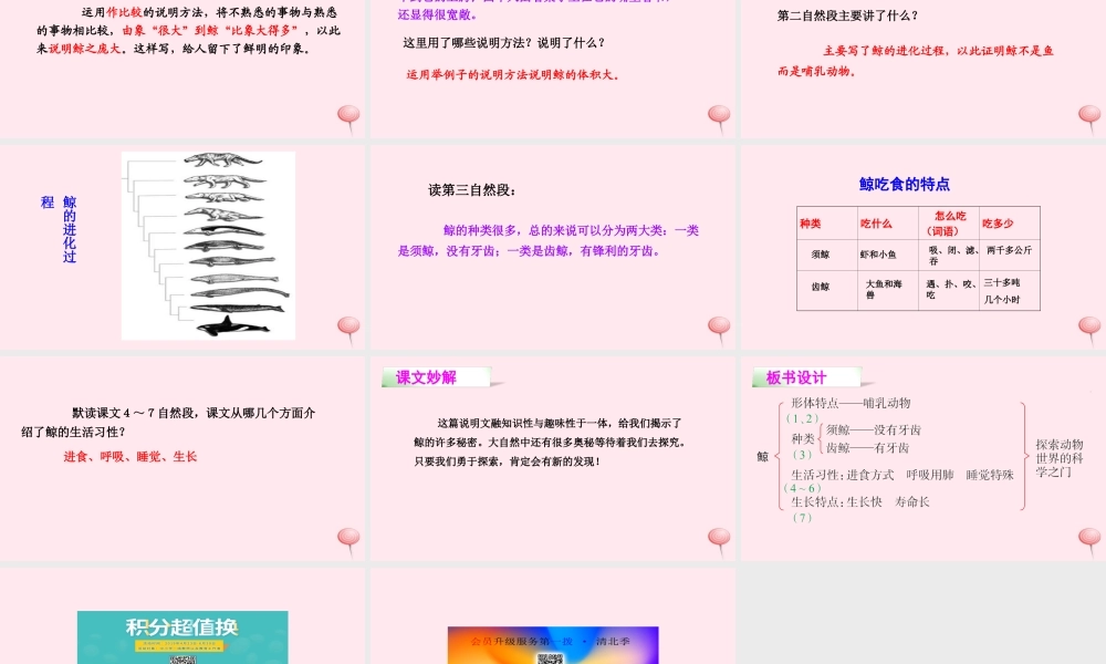 四年级语文下册 第七单元 26 鲸课件 语文S版-语文S版小学四年级下册语文课件