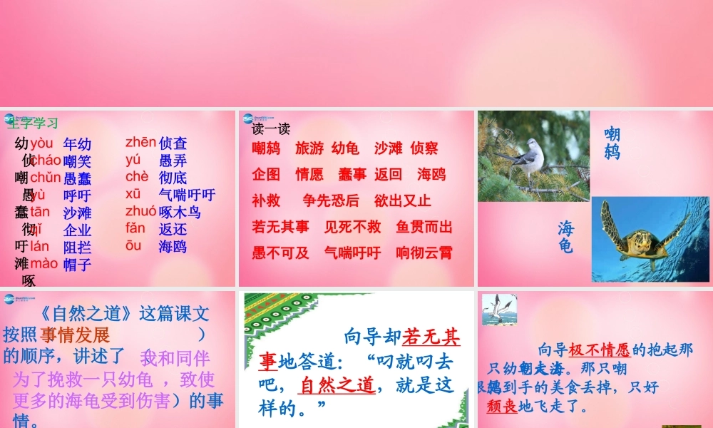 四年级语文下册 9 自然之道教学课件 新人教版-新人教版小学四年级下册语文课件