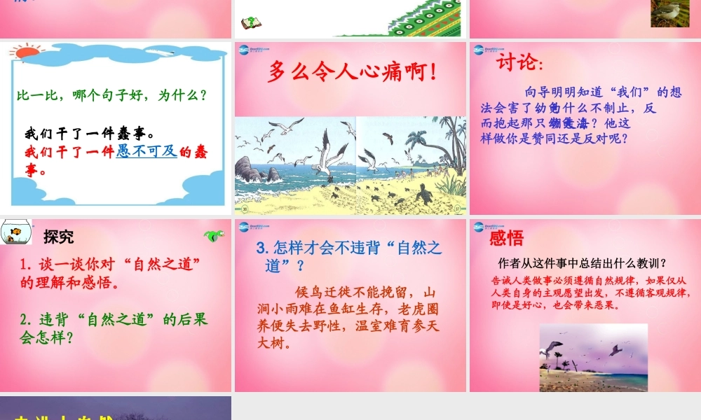 四年级语文下册 9 自然之道教学课件 新人教版-新人教版小学四年级下册语文课件