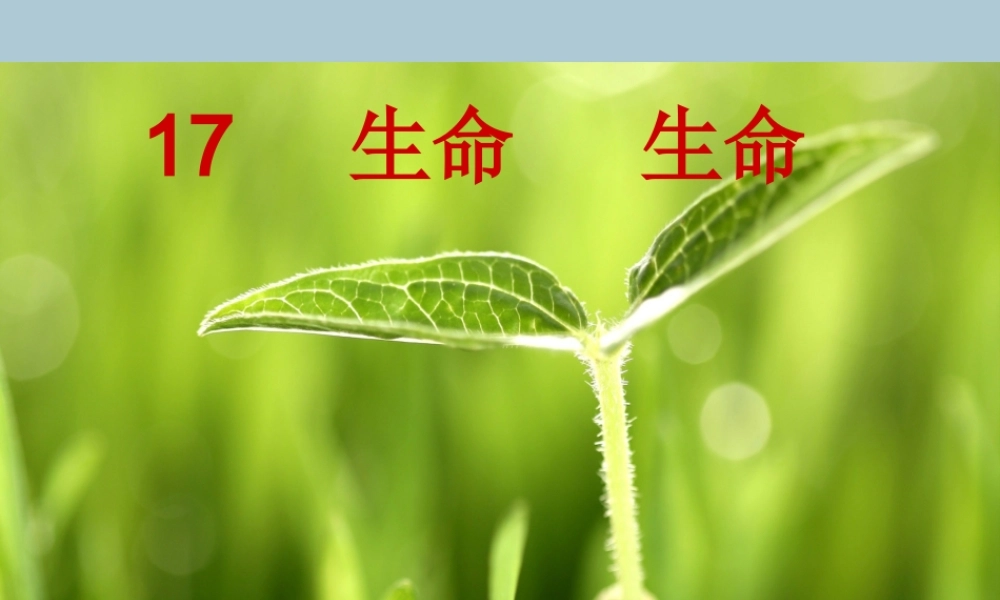 四年级语文下册 第五组 17 生命 生命教学课件 新人教版-新人教版小学四年级下册语文课件