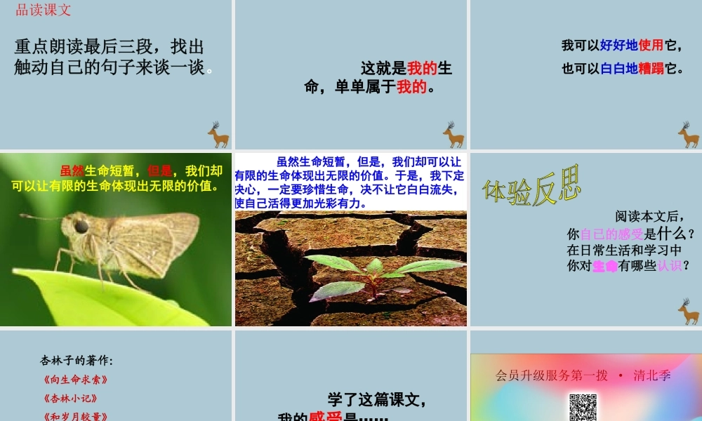 四年级语文下册 第五组 17 生命 生命教学课件 新人教版-新人教版小学四年级下册语文课件