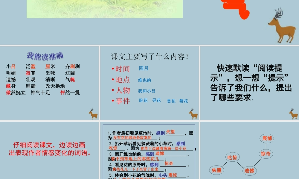 四年级语文下册 第五组 18 花的勇气教学课件 新人教版-新人教版小学四年级下册语文课件