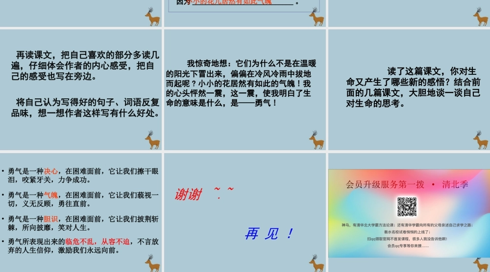 四年级语文下册 第五组 18 花的勇气教学课件 新人教版-新人教版小学四年级下册语文课件