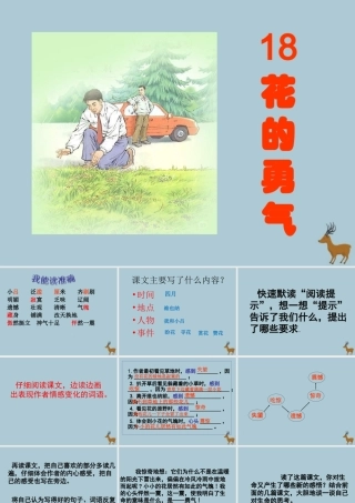 四年级语文下册 第五组 18 花的勇气教学课件 新人教版-新人教版小学四年级下册语文课件