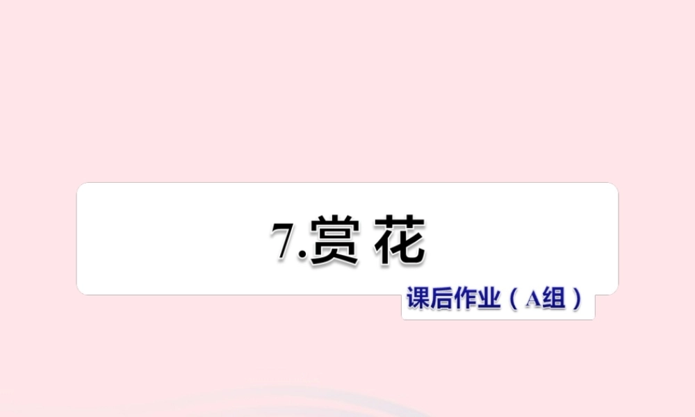 四年级语文上册 第二单元 7《赏花》课后作业（A组）课件 冀教版-冀教版小学四年级上册语文课件