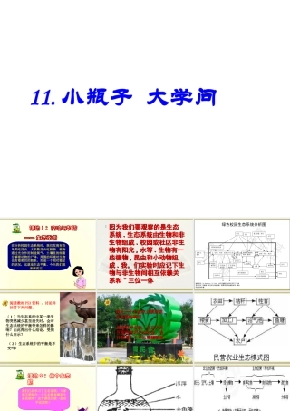 大学问》课件（2） 冀教版-冀教版小学六年级下册自然科学课件