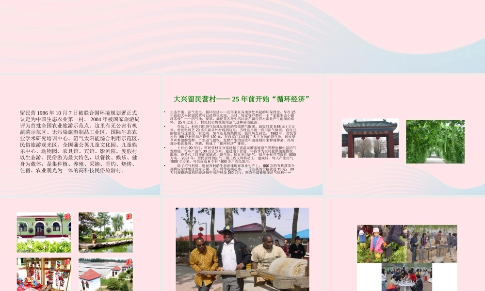 大学问》课件（3） 冀教版-冀教版小学六年级下册自然科学课件