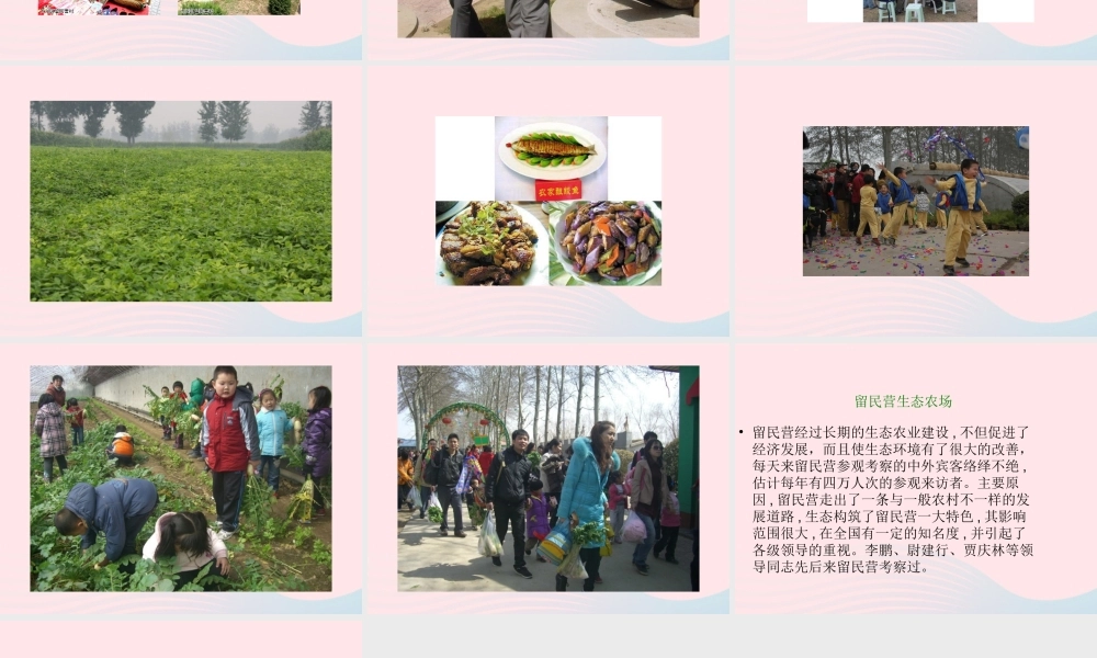 大学问》课件（3） 冀教版-冀教版小学六年级下册自然科学课件