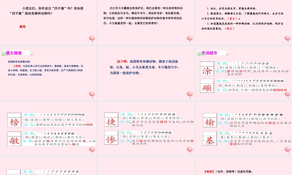四年级语文下册 第七单元 27 麋鹿课件 语文S版-语文S版小学四年级下册语文课件