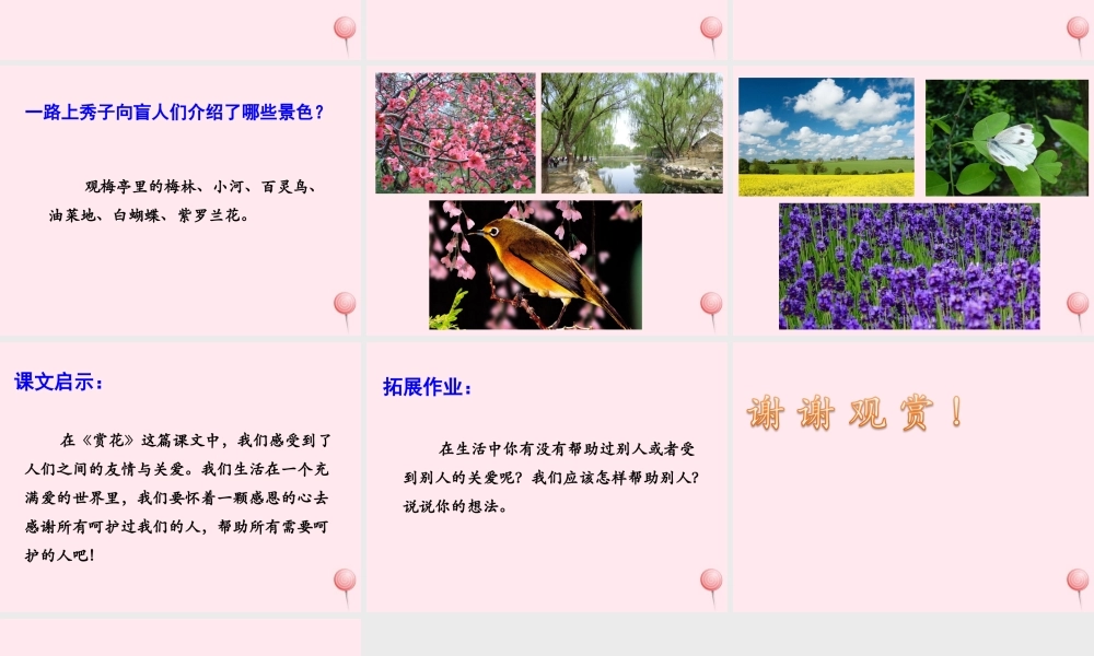 四年级语文上册 第二单元 7《赏花》优培课件 冀教版-冀教版小学四年级上册语文课件