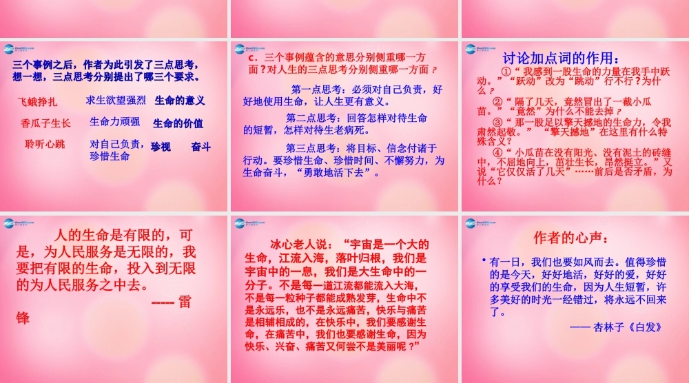 四年级语文下册 19 生命 生命教学课件 新人教版-新人教版小学四年级下册语文课件