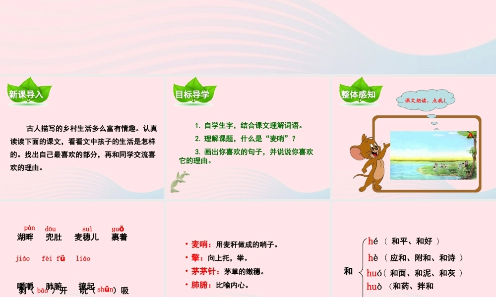 四年级语文下册 第六单元 第24课 麦哨课件 新人教版-新人教版小学四年级下册语文课件