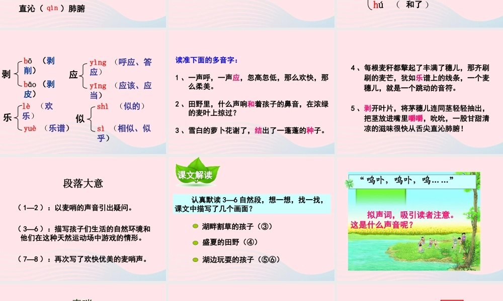 四年级语文下册 第六单元 第24课 麦哨课件 新人教版-新人教版小学四年级下册语文课件