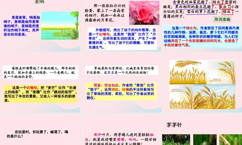 四年级语文下册 第六单元 第24课 麦哨课件 新人教版-新人教版小学四年级下册语文课件