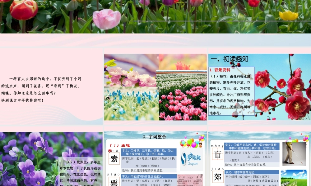 四年级语文上册 第二单元 7《赏花》优秀课件 冀教版-冀教版小学四年级上册语文课件