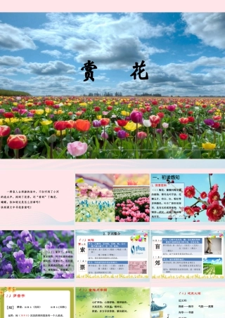 四年级语文上册 第二单元 7《赏花》优秀课件 冀教版-冀教版小学四年级上册语文课件