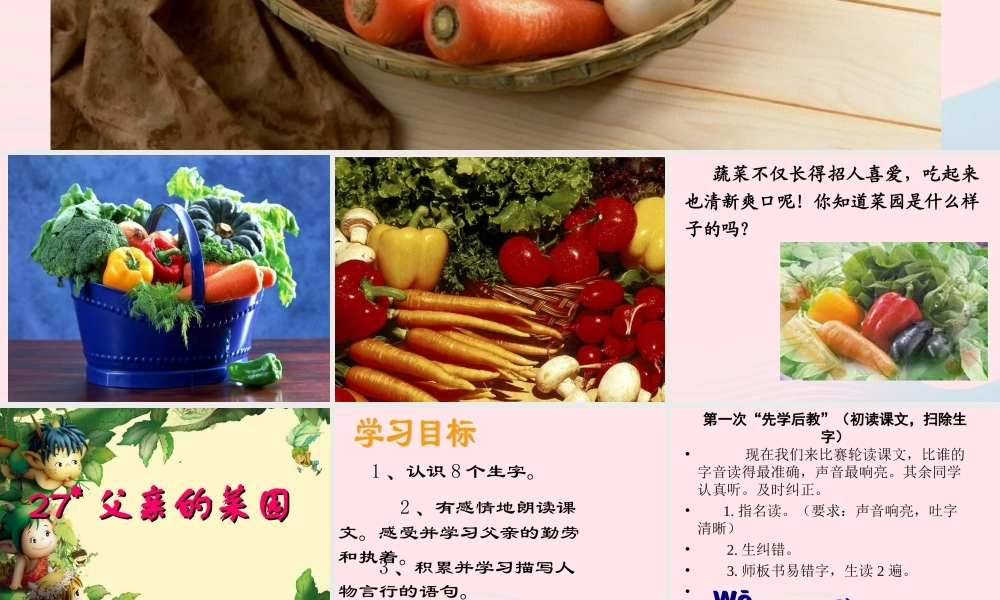 四年级语文下册 第七单元 27《父亲的菜园》课堂教学课件1 新人教版-新人教版小学四年级下册语文课件