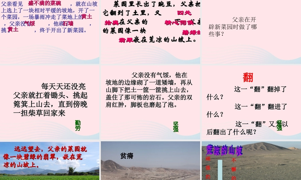 四年级语文下册 第七单元 27《父亲的菜园》课堂教学课件1 新人教版-新人教版小学四年级下册语文课件