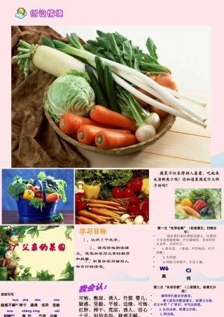 四年级语文下册 第七单元 27《父亲的菜园》课堂教学课件1 新人教版-新人教版小学四年级下册语文课件