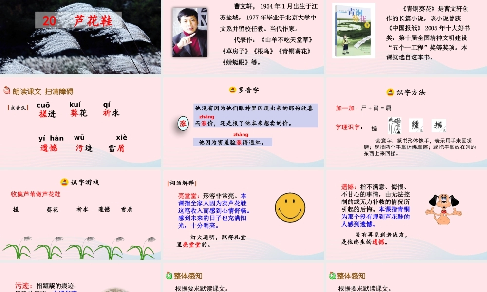 四年级语文下册 第六单元 花鞋》教学课件 新人教版-新人教级下册语文课件