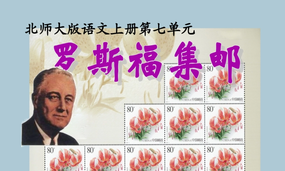 四年级语文上册 第六单元 方寸世界 14 罗斯福集邮教学课件 北师大版-北师大版小学四年级上册语文课件