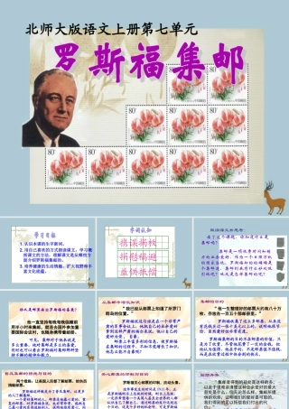 四年级语文上册 第六单元 方寸世界 14 罗斯福集邮教学课件 北师大版-北师大版小学四年级上册语文课件