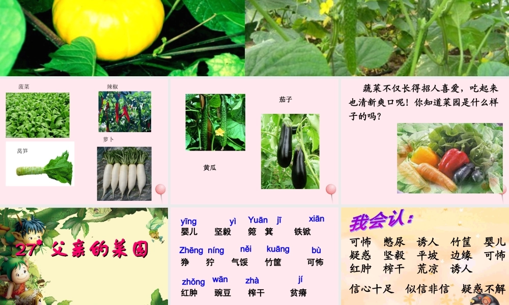 四年级语文下册 第七单元 27《父亲的菜园》课堂教学课件2 新人教版-新人教版小学四年级下册语文课件