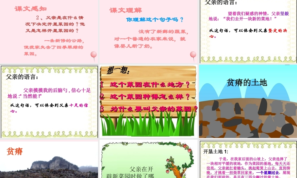 四年级语文下册 第七单元 27《父亲的菜园》课堂教学课件2 新人教版-新人教版小学四年级下册语文课件