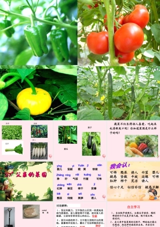 四年级语文下册 第七单元 27《父亲的菜园》课堂教学课件2 新人教版-新人教版小学四年级下册语文课件