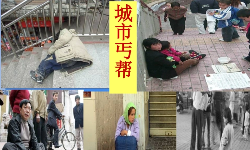 四年级语文上册 第二单元 7《尊严》优培课件 鲁教版-鲁教版小学四年级上册语文课件