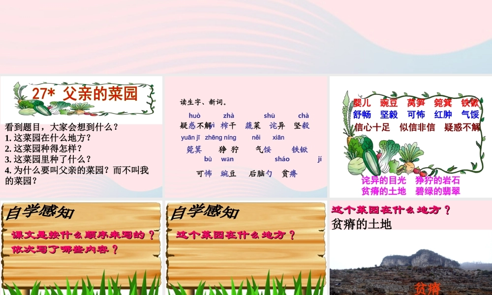 四年级语文下册 第七单元 27《父亲的菜园》课堂教学课件3 新人教版-新人教版小学四年级下册语文课件