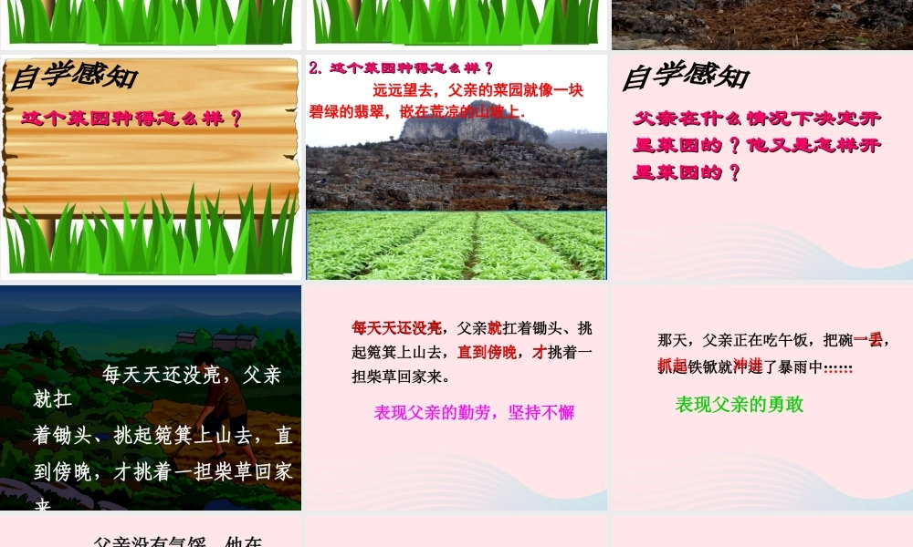 四年级语文下册 第七单元 27《父亲的菜园》课堂教学课件3 新人教版-新人教版小学四年级下册语文课件