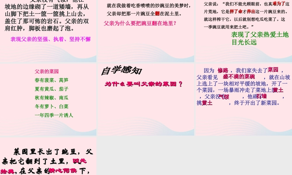 四年级语文下册 第七单元 27《父亲的菜园》课堂教学课件3 新人教版-新人教版小学四年级下册语文课件