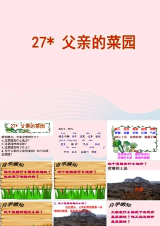 四年级语文下册 第七单元 27《父亲的菜园》课堂教学课件3 新人教版-新人教版小学四年级下册语文课件