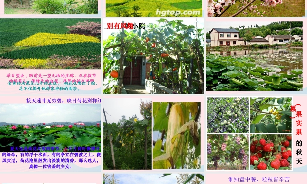 四年级语文下册 第六单元 语文园地六课件2 新人教版-新人教版小学四年级下册语文课件