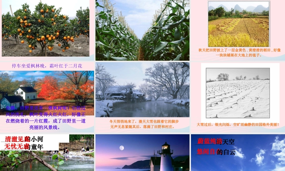 四年级语文下册 第六单元 语文园地六课件2 新人教版-新人教版小学四年级下册语文课件