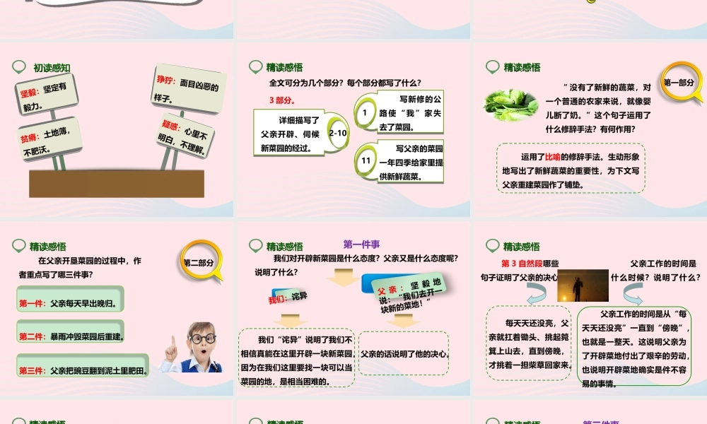 四年级语文下册 第七单元 28 父亲的菜园课件2 新人教版-新人教版小学四年级下册语文课件