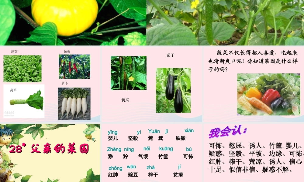 四年级语文下册 第七单元 28 父亲的菜园课件4 新人教版-新人教版小学四年级下册语文课件