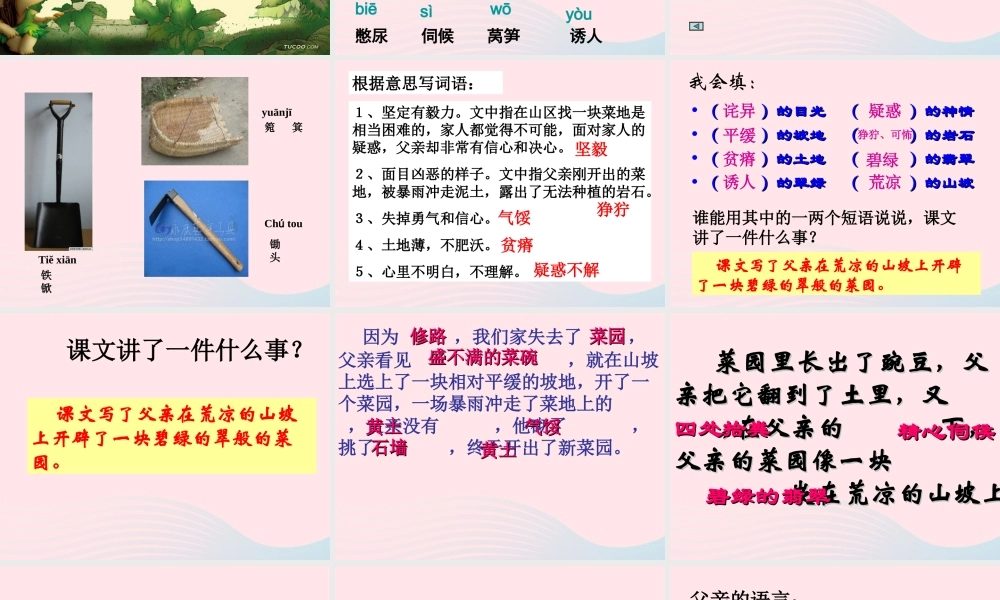 四年级语文下册 第七单元 28 父亲的菜园课件4 新人教版-新人教版小学四年级下册语文课件