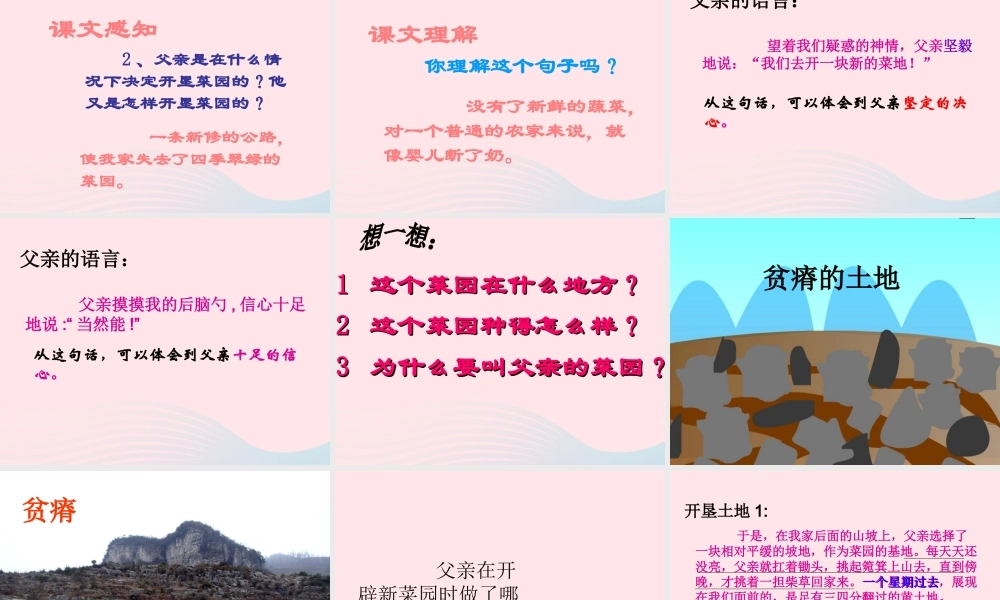 四年级语文下册 第七单元 28 父亲的菜园课件4 新人教版-新人教版小学四年级下册语文课件