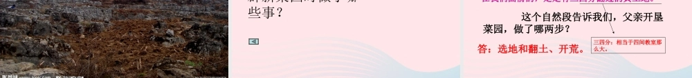 四年级语文下册 第七单元 28 父亲的菜园课件4 新人教版-新人教版小学四年级下册语文课件