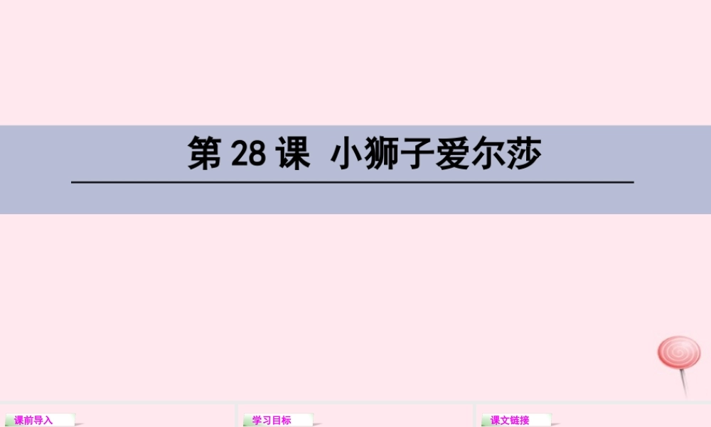 四年级语文下册 第七单元 28 小狮子爱尔莎课件 语文S版-语文S版小学四年级下册语文课件